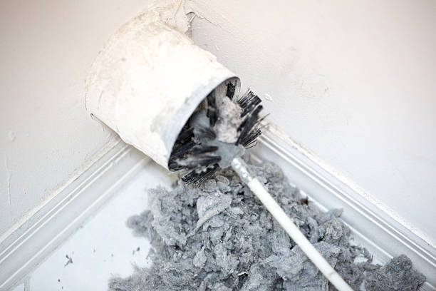 Best Air Duct Inspection  in USA